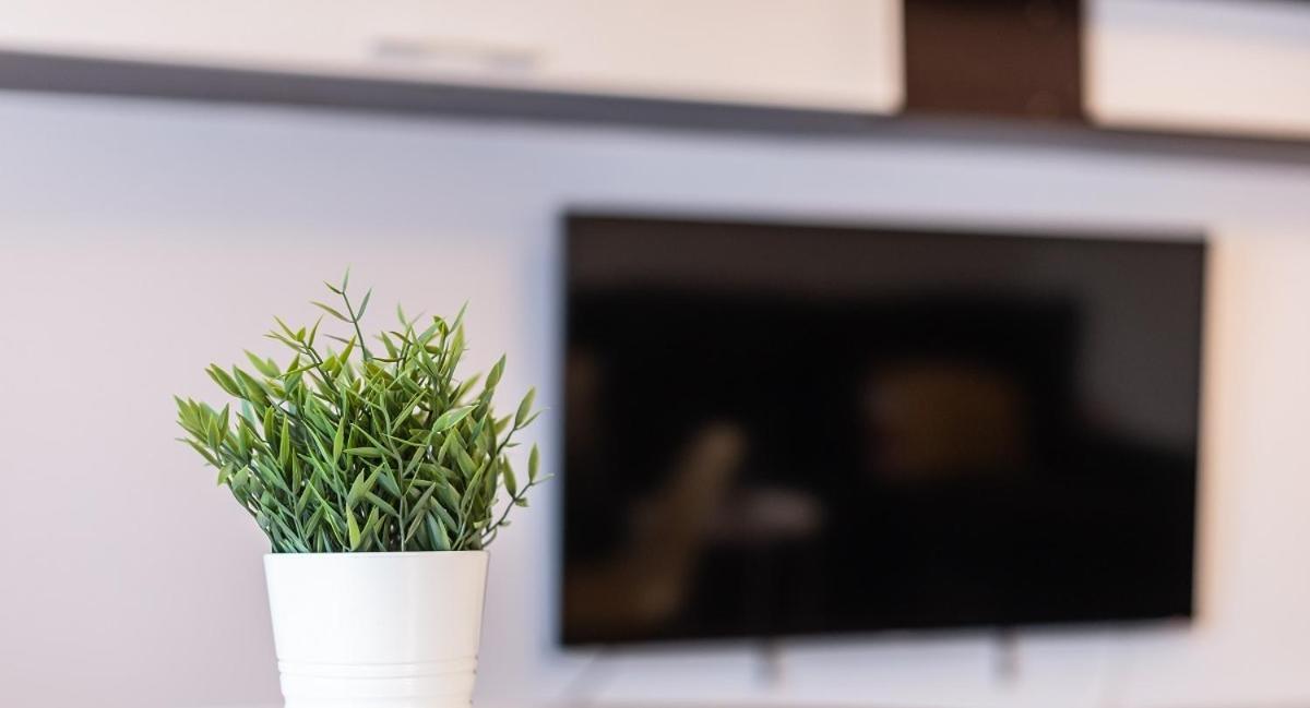 Adaptado Y Comodo Apartamento En Iturrama Pamplona Ngoại thất bức ảnh